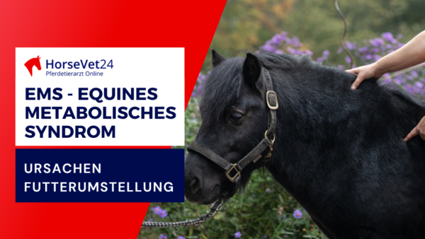 EMS - Equines Metabolisches Syndrom