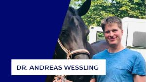 Dr. Andreas Wessling, Fachtierarzt für Pferde
