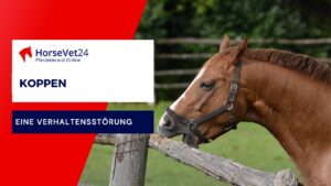 Koppen-eine Verhaltensstörung