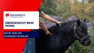 Übergewicht beim Pferd