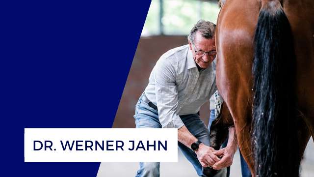 Dr. Werner Jahn, Pferdetierarzt
