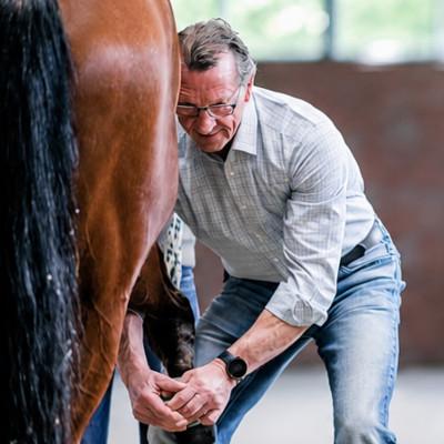 Dr. Werner Jahn, Pferdetierarzt