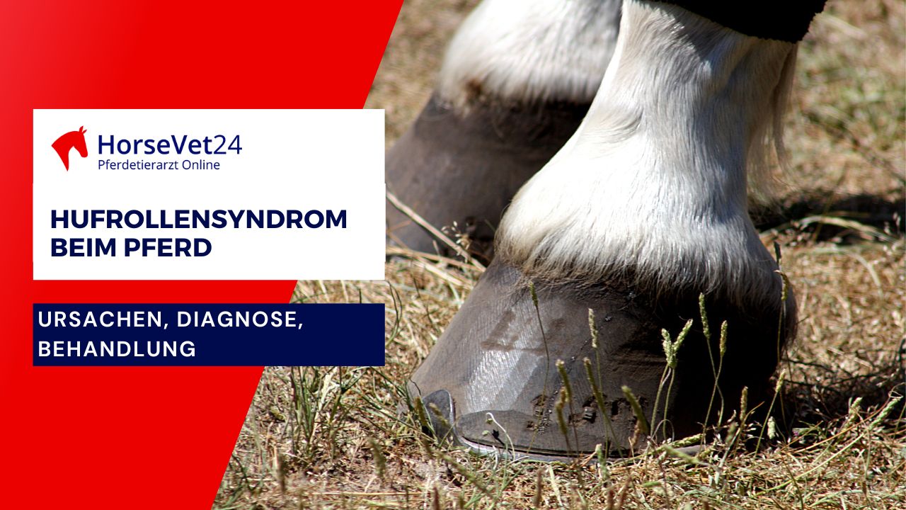 Hufrollensyndrom